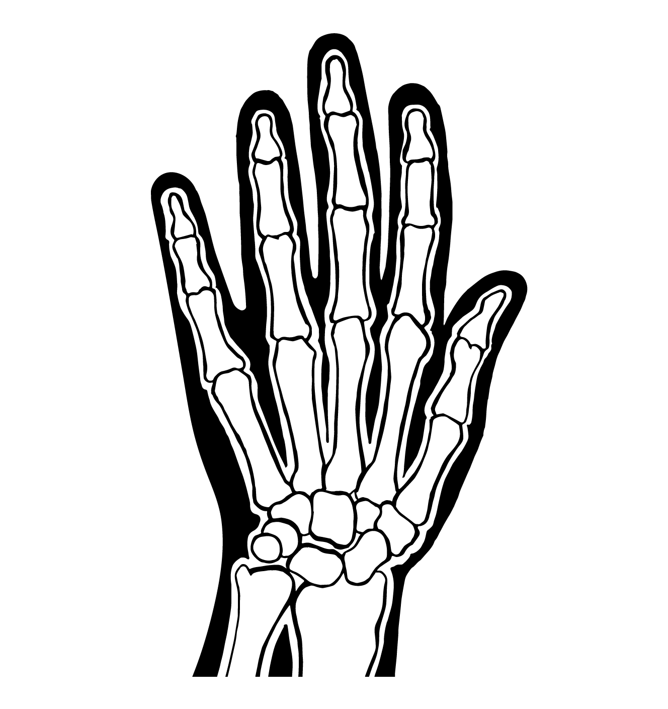 Hand Palmar View illustration